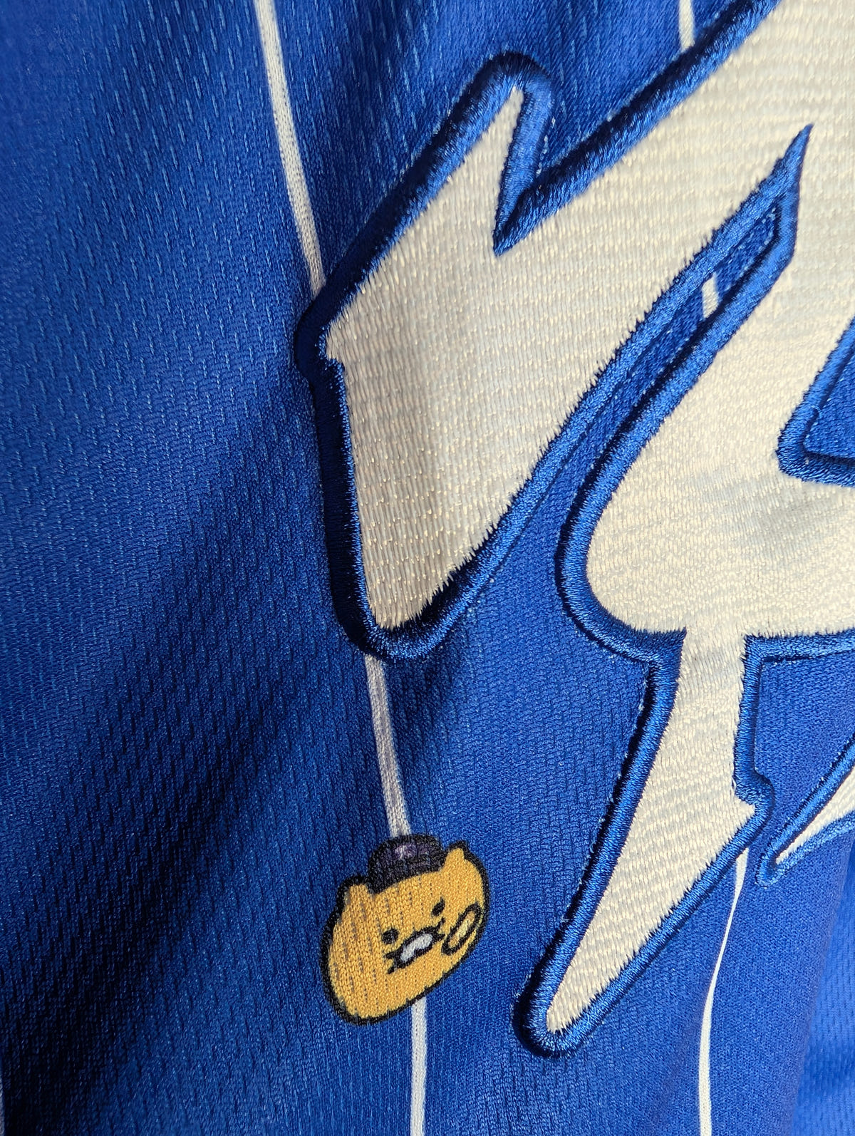Pro Specs X Kakao Friends Sports for All Choonsik the Cat KBO National Team 2024 XXL, photo 10 image 10