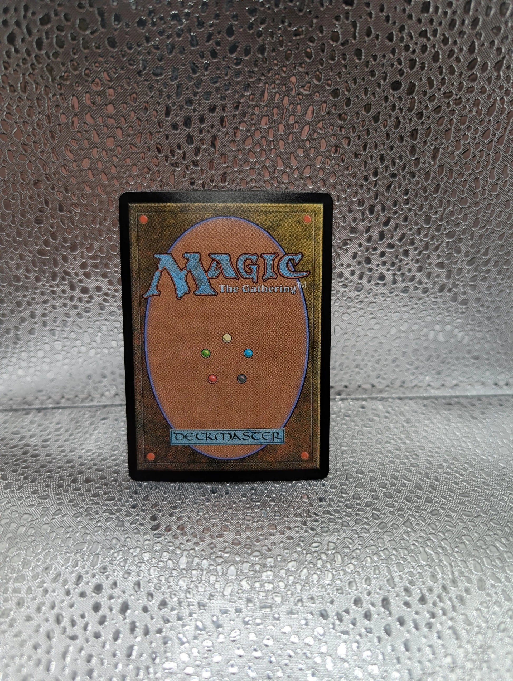 Dragonhawk, Fate's Tempest - Borderless M MTG Bloomburrow FRENLY BRICKS - Open 7 Days