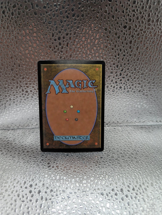 Dragonhawk, Fate's Tempest - Borderless M MTG Bloomburrow FRENLY BRICKS - Open 7 Days