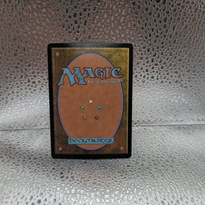 Dragonhawk, Fate's Tempest - Borderless M MTG Bloomburrow FRENLY BRICKS - Open 7 Days