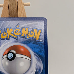 Blastoise EX XY122 XY Holo Black Star Promo 2016 - Pokemon TCG Card LP-MP FRENLY BRICKS - Open 7 Days