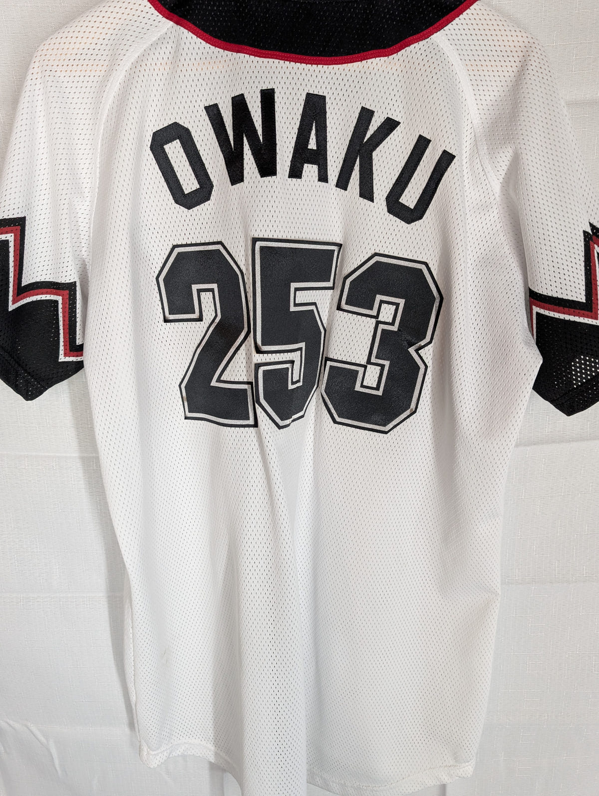 Nippon Baseball Chiba Lottes Marines "Owaku #253 Alternate White/Red Large Jersey, photo 10 image 10