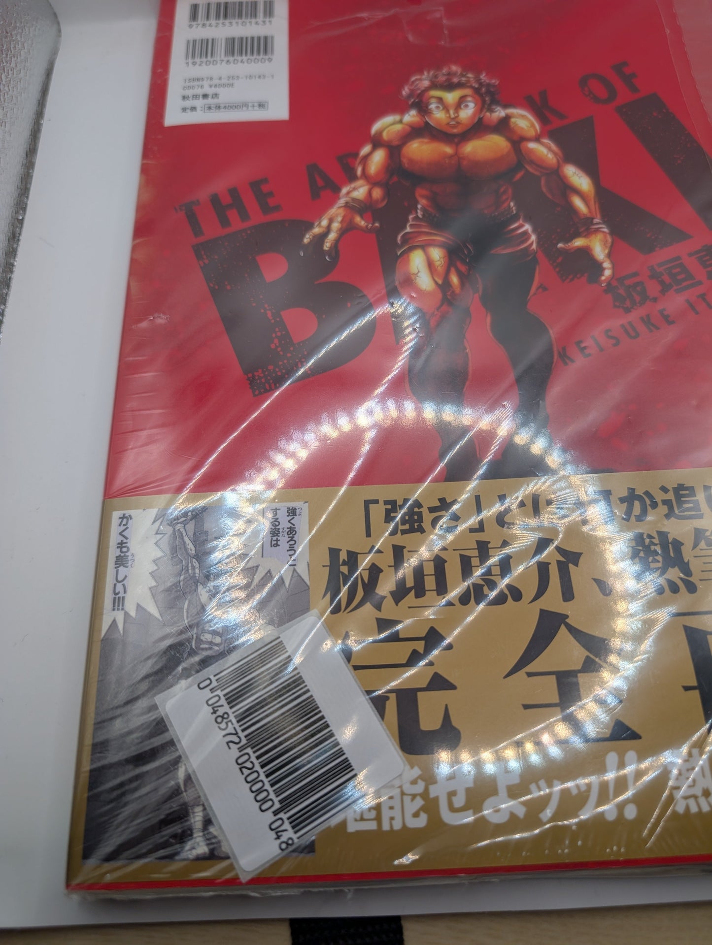 BAKI 30th Anniversary Art Book THE ARTWORK OF BAKI Large Format from Japan FRENLY BRICKS - Open 7 Days