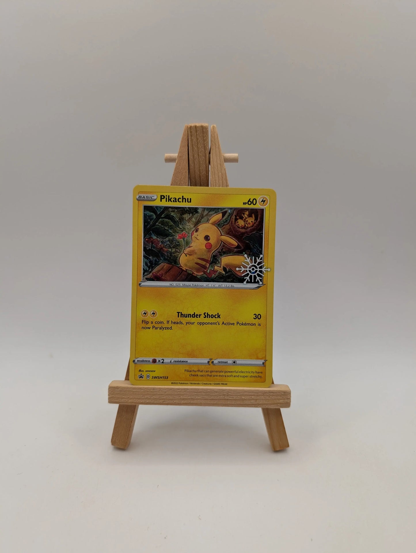 PIKACHU SWSH153 PROMO SWSH BLACK STAR POKEMON TCG FRENLY BRICKS - Open 7 Days