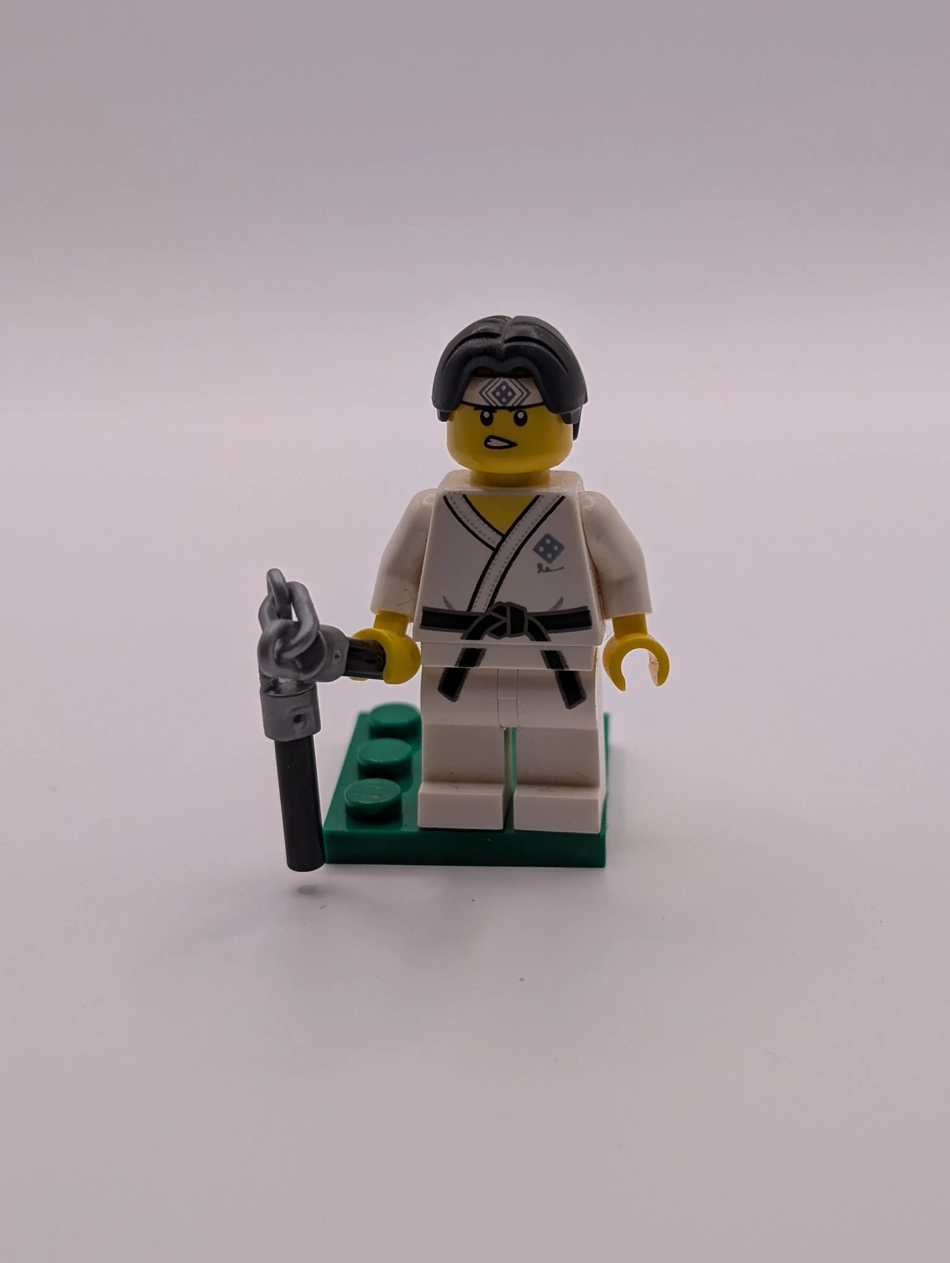 Lego Martial Arts Boy Series 20 Collectible Minifigure 71027 col367 CMF Ninja FRENLY BRICKS - Open 7 Days