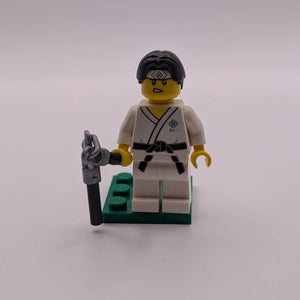 Lego Martial Arts Boy Series 20 Collectible Minifigure 71027 col367 CMF Ninja FRENLY BRICKS - Open 7 Days