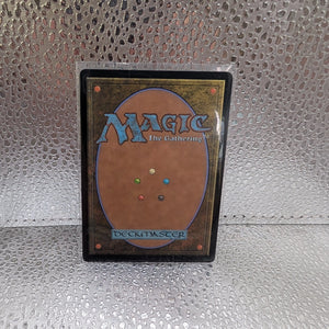 MTG - (Borderless) BEZA, THE BOUNDING SPRING - Bloomburrow (M) 0287 FRENLY BRICKS - Open 7 Days