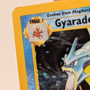 Gyarados Base Set Unlimited Holo 6/102 MP (B) Pokemon FRENLY BRICKS - Open 7 Days