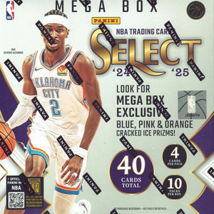 2024-25 PANINI SELECT NBA BASKETBALL SEALED 10-PACK MEGA BOX ICE FRENLY BRICKS - Open 7 Days