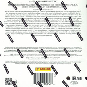 2024-25 PANINI SELECT NBA BASKETBALL SEALED 10-PACK MEGA BOX ICE FRENLY BRICKS - Open 7 Days