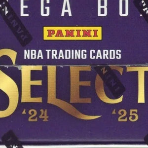 2024-25 PANINI SELECT NBA BASKETBALL SEALED 10-PACK MEGA BOX ICE FRENLY BRICKS - Open 7 Days