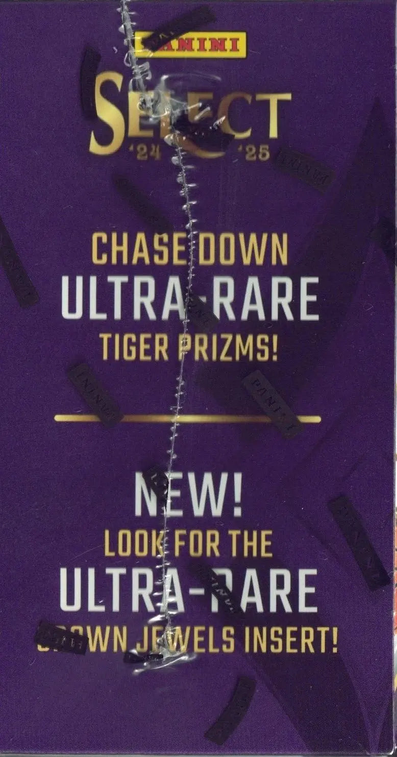 2024-25 PANINI SELECT NBA BASKETBALL SEALED 6-PACK BLASTER BOX ICE FRENLY BRICKS - Open 7 Days